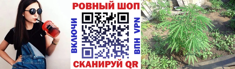 Купить закладку Ессентукская MDMA  Мефедрон  ГАШИШ  Канабис  APVP 