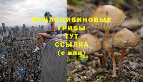 героин Алзамай